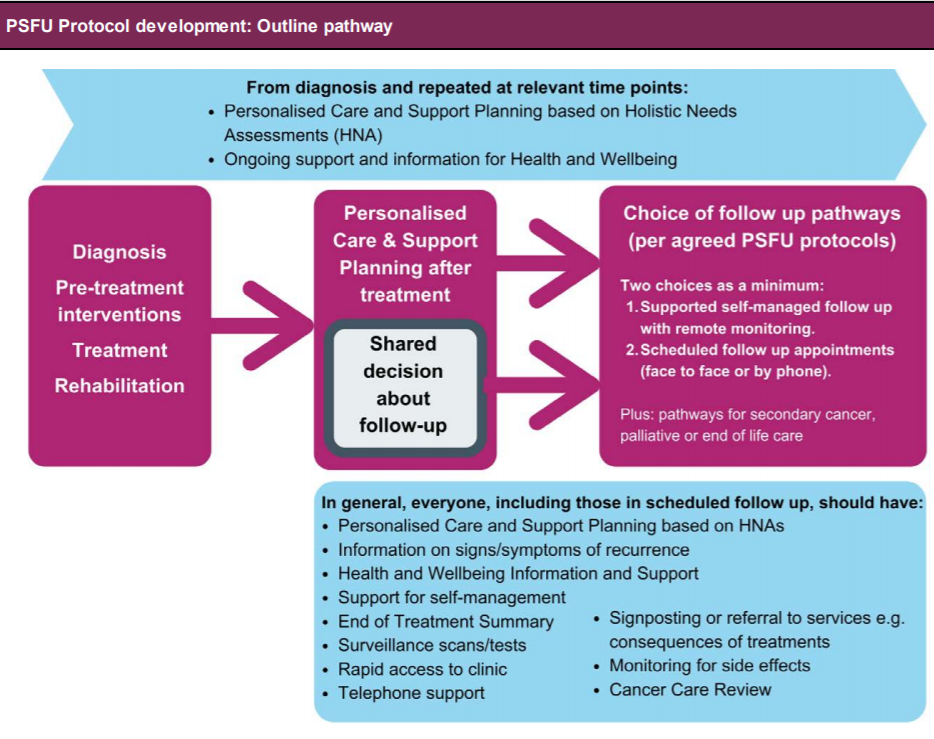 Image of PSFU protocol development outline pathway