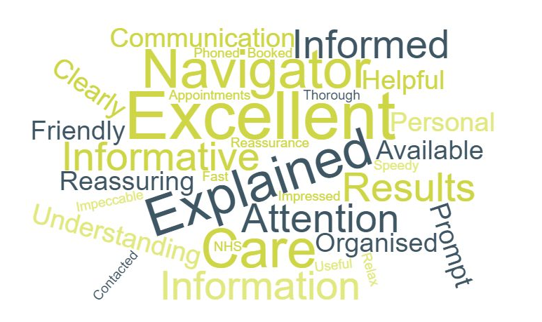 Wordcloud from the prostate best timed pathway patient feedback